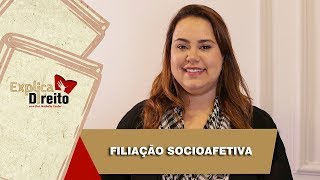 Explica Direito Filiação Socioafetiva  2019 [upl. by Noirret]