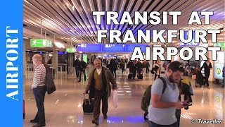 TRANSIT WALK AT FRANKFURT Airport FRA Terminal 1  Connection Flight Transfer Arriving amp Departing [upl. by Houston788]